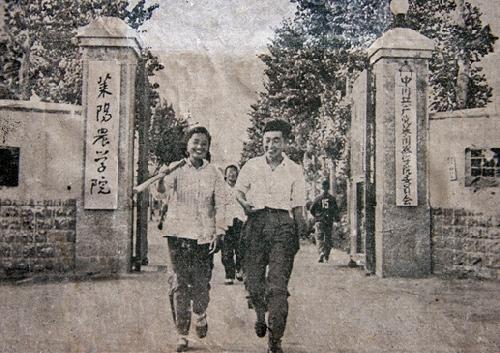 1958年莱阳农学院校门